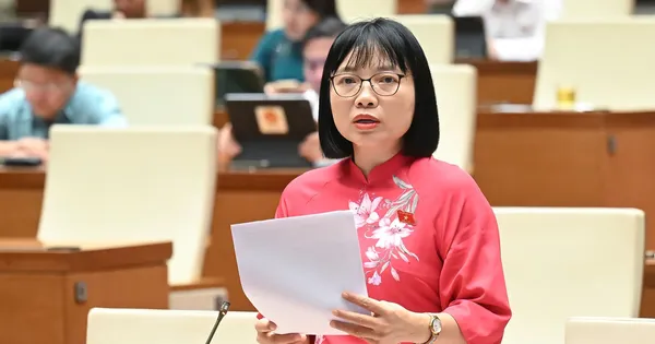 Mức phạt quá cao so với khả năng chi trả có thể dẫn đến trốn tránh, tiêu cực