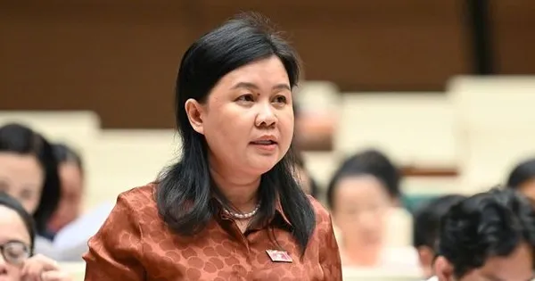 Đại biểu Quốc hội: Không để 'lạm phát văn bản' trong thời gian sắp tới