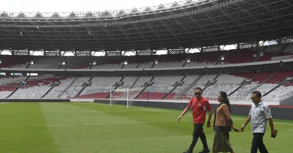 AFC 'khai tử' sân cỏ nhân tạo tại Asian Cup và vòng loại World Cup