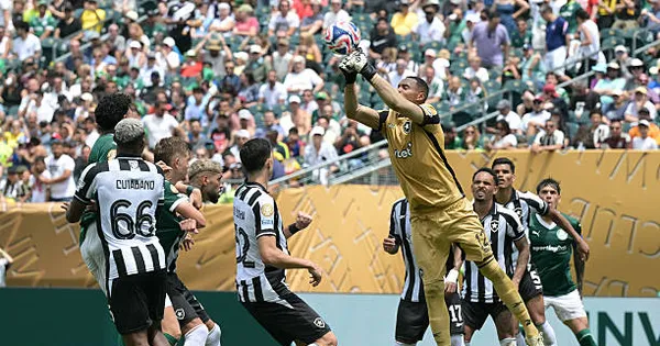 Trực tiếp Palmeiras vs Botafogo 0-0 (Hết H2): Palmeras bị từ chối bàn thắng