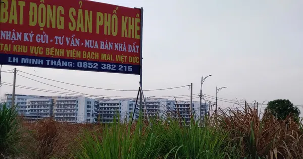 tienphong.vn