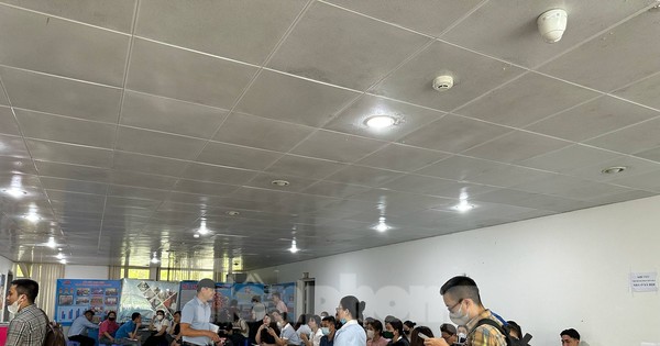 Mua nhà ở xã hội: Từ khổ ải đợi chờ đến kiếp nạn 'cò mồi'
