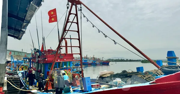 Quảng Ngãi còn 2 tàu cá và 16 lao động nằm trong vùng nguy hiểm của bão số 1
