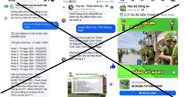 Mất 2,7 tỷ đồng vì đăng ký sinh hoạt hè cho con qua mạng