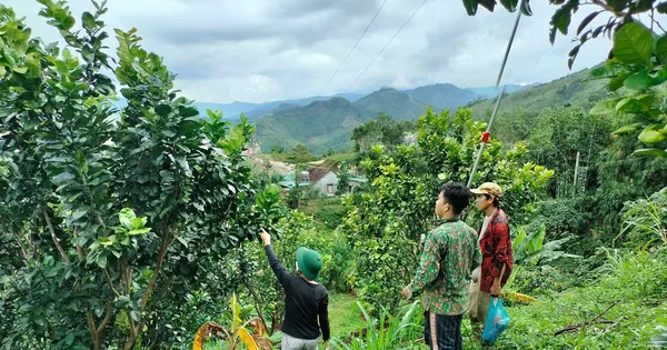 Miền núi Quảng Ngãi bừng sáng từ 'cần câu' sinh kế
