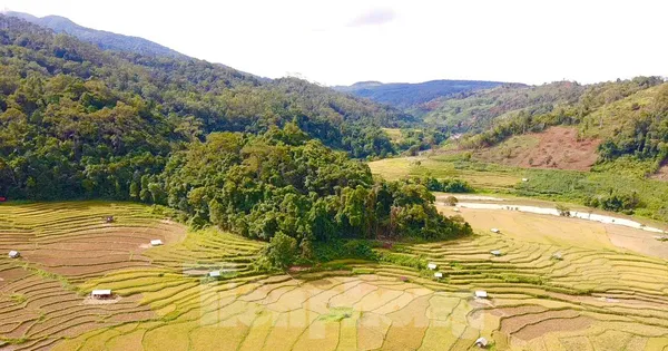 Thích thú đứng giữa Kon Tum mà như ruộng bậc thang Tây Bắc