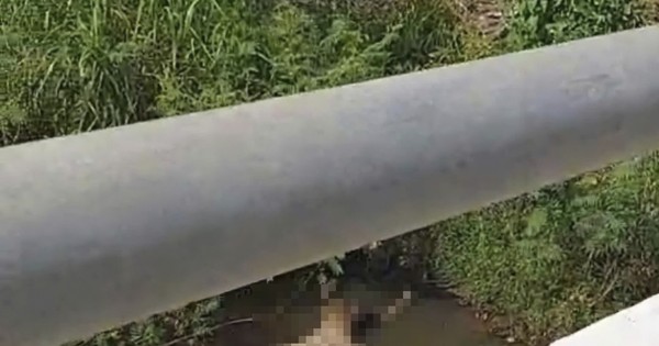 Bình Định: Phát hiện thi thể nam giới đang phân hủy nổi trên mặt nước