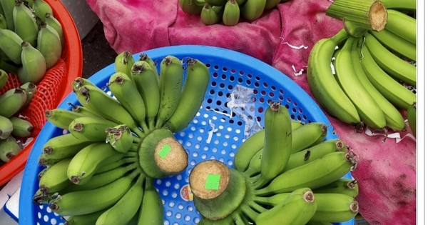 tienphong.vn