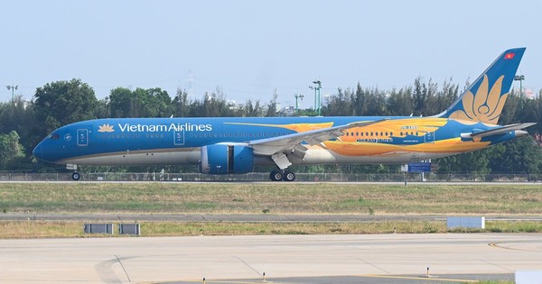 Ấn tượng hình ảnh Chim Lạc trên máy bay Vietnam Airlines đến/đi từ Tân Sơn Nhất