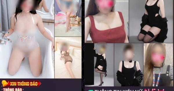 Bóc gỡ đường dây môi giới mại dâm trên Telegram giao dịch hàng chục tỷ đồng