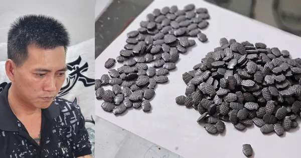 Mua bán hàng nghìn viên thuốc lắc từ nước ngoài dưới vỏ bọc thực phẩm giảm cân
