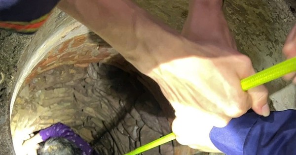 Thót tim giải cứu cụ bà 84 tuổi rơi xuống giếng ở Bắc Giang
