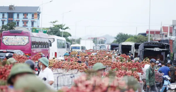 Đi chợ vải thiều Bắc Giang