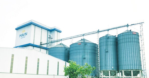 Mavin số hoá dữ liệu nhà cung cấp, nâng tầm quản trị chuỗi cung ứng nông nghiệp