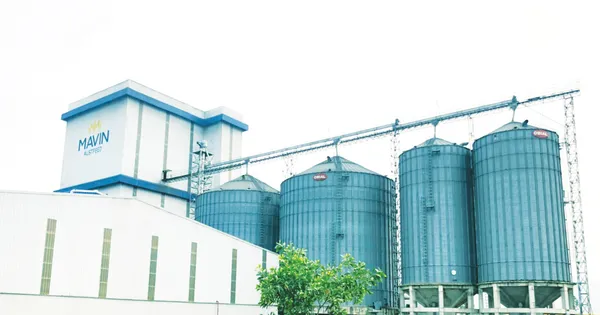 Tập đoàn Mavin tiên phong trong phát triển xanh, minh bạch và có trách nhiệm
