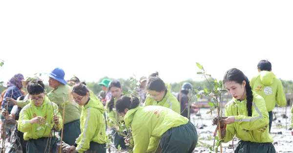 Bạn trẻ chung tay trồng hàng nghìn cây xanh vùng ngập mặn