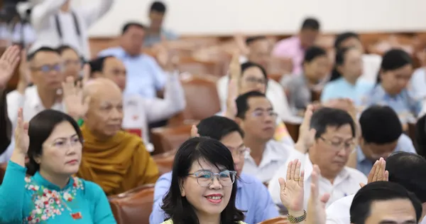 HĐND TPHCM họp chuyên đề trước khi hợp nhất với Bình Dương, Bà Rịa - Vũng Tàu