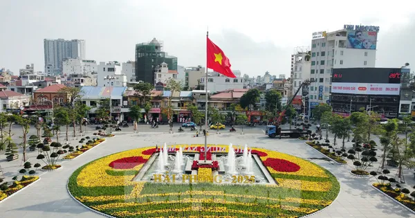 Hải Phòng vận hành 12 hệ thống thông tin, hạ tầng sau hợp nhất