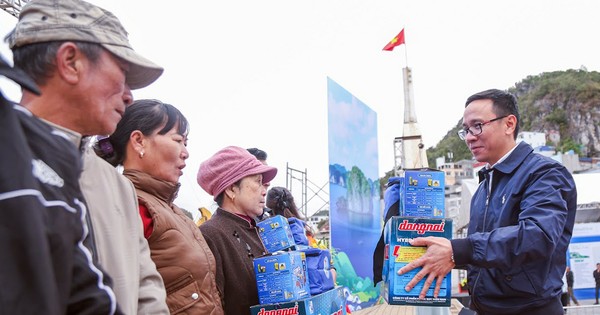 Cùng ngư dân Cát Bà thắp sáng đèn trên biển