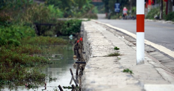 Hoãn phiên tòa phúc thẩm vụ 'rút ruột công trình' cải tạo đường ở Đồ Sơn