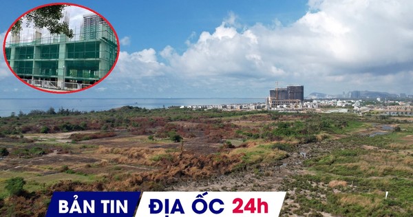 Địa ốc 24H: Khu đất gần 60ha ở Vũng Tàu trúng đấu giá 7.700 tỷ đồng; cảnh báo 'cò' nhận hồ sơ mua NƠXH