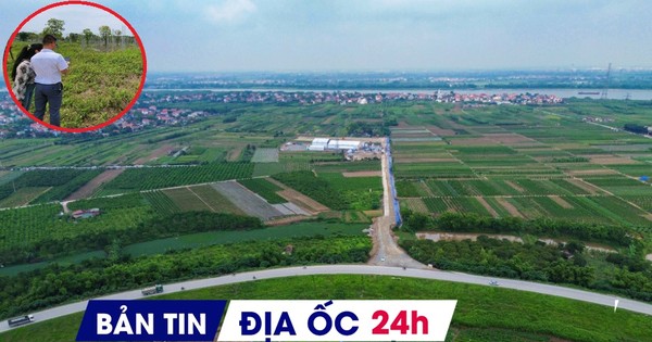 Địa ốc 24H: Giá đất nền tăng do yếu tố đầu cơ? Bộ Xây dựng thông tin về gói tín dụng 120.000 tỷ cho vay NƠXH
