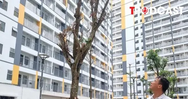 Đề xuất không thu quá 95% giá nhà ở xã hội trước khi cấp sổ đỏ