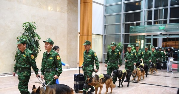 Lực lượng cứu hộ Quân đội nhân dân Việt Nam hoàn thành nhiệm vụ tại Myanmar, về nước an toàn