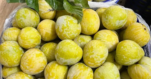 Thêm một loại quả Trung Quốc đổ bộ chợ Việt, gi...