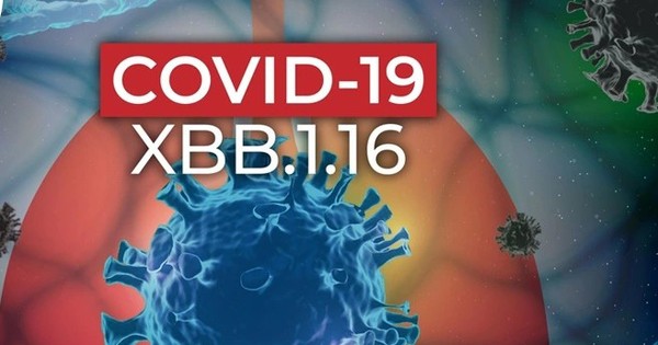 COVID-19 vẫn diễn biến khó lường, Bộ Y tế cảnh báo nguy cơ gia tăng ca mắc