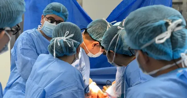 Hồi sinh sự sống từ 'món quà cuối cùng' của người xa lạ