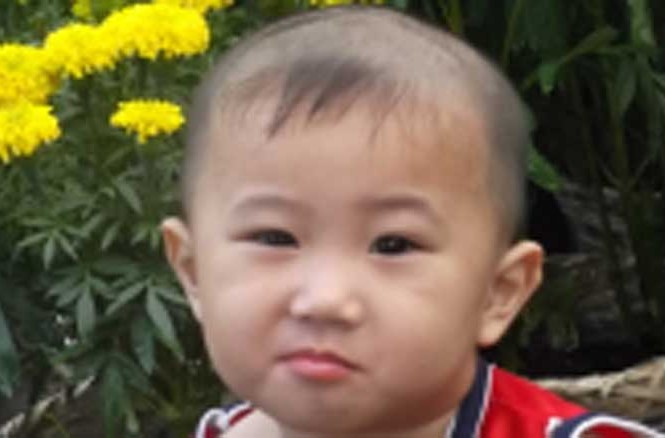 Gia Bảo và mùa xuân Bé Gia Bảo