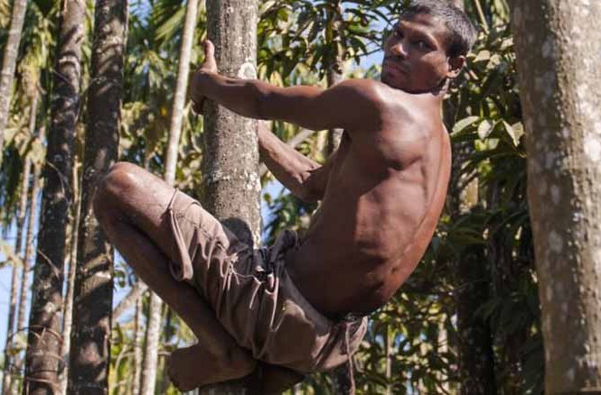 Người đàn ông có 'đuôi' dài 36 cm, leo trèo như khỉ Người đàn ông có 'đuôi' dài 36 cm, leo trèo như khỉ