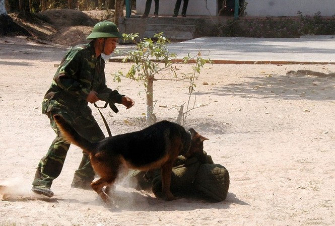 Biên phòng An Giang trấn áp tội phạm vùng biên Biên phòng An Giang trấn áp tội phạm vùng biên