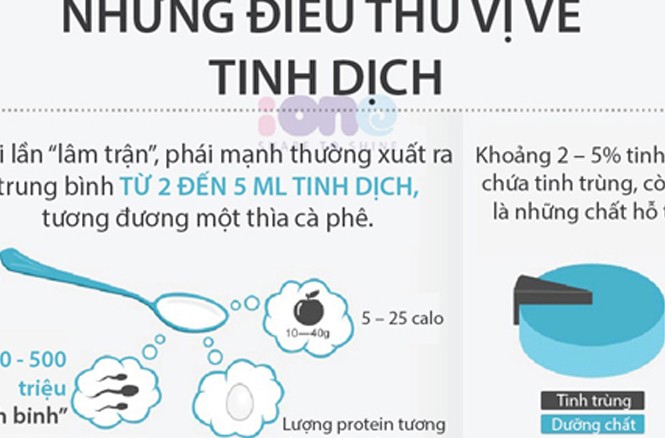 Công dụng gây sốc của tinh dịch Công dụng gây sốc của tinh dịch