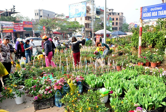 Chen chân sắm Tết trên 'phố hoa' Hoàng Hoa Thám Những ngày giáp Tết, chợ hoa Hoàng Hoa Thám tấp nập người mua sắm.