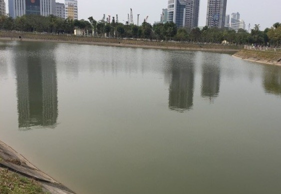 Đi thả cá ngày ông Táo, người phụ nữ ngã xuống hồ tử vong Hồ nước nơi xảy ra sự việc thương tâm.