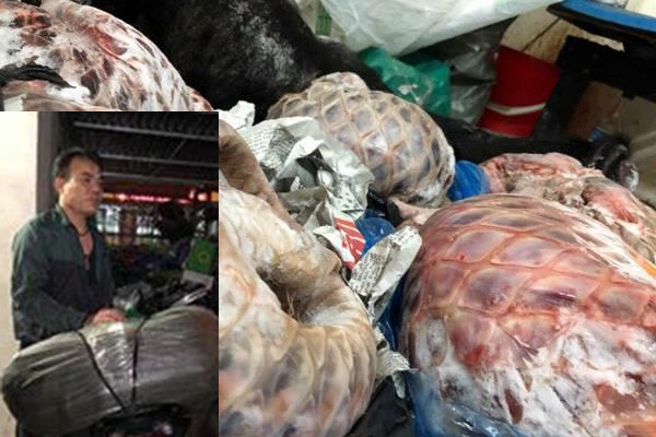 Bắt đối tượng vận chuyển tê tê, tay gấu ở bến xe Số hàng bị thu giữ và đối tượng Thành.
