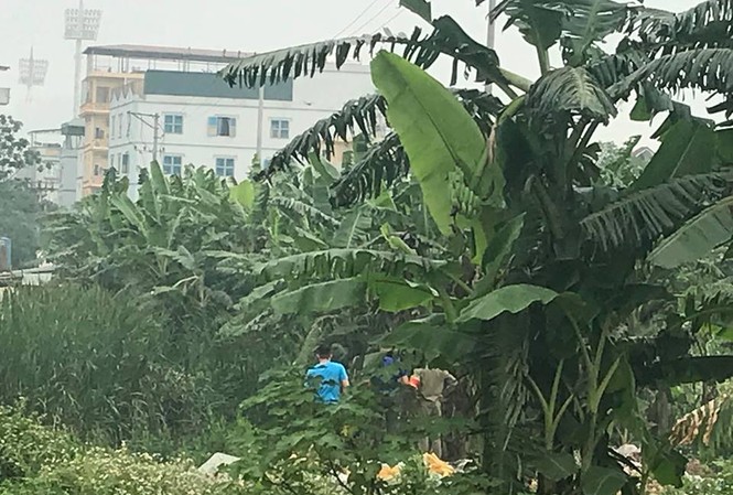 Phát hiện thi thể người phân hủy cạnh bụi chuối Nơi phát hiện thi thể nạn nhân.