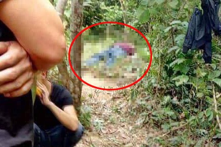 Phát hiện thi thể người đàn ông trong rừng Tam Đảo Người dân phát hiện thi thể nam giới trong rừng Tam Đảo.
