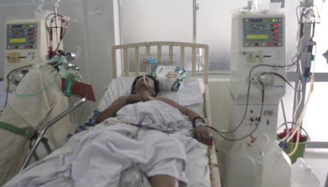 Hai người thương vong vì ăn bọ rầy Bệnh nhân Nhàn đang được chạy thận nhân tạo, lọc máu tại Bệnh viện Đa khoa Quảng Nam.
