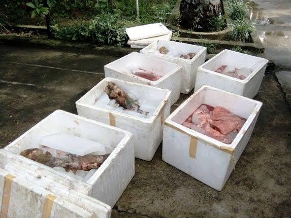 Hãi hùng 2 tạ nội tạng bốc mùi 'đi' xe buýt ra thị trấn Số nội tạng động vật hôi thối phát hiện trên xe buýt.