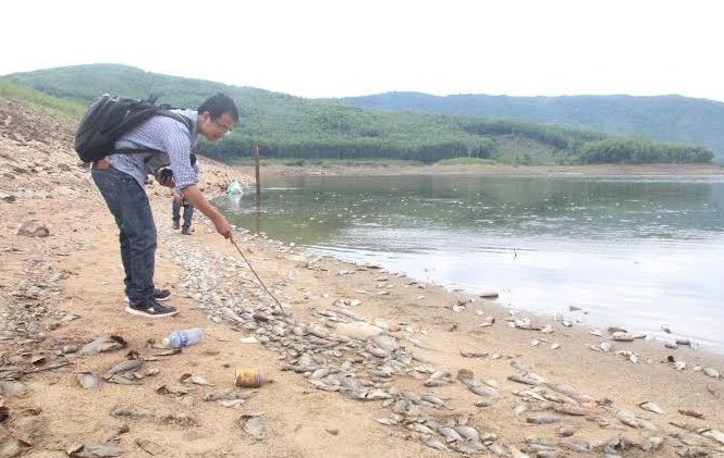 Vụ cá chết ở hồ thủy lợi Quảng Nam: Chủ tịch tỉnh chỉ đạo làm rõ nguyên nhân Vụ cá chết ở hồ thủy lợi Quảng Nam: Chủ tịch tỉnh chỉ đạo làm rõ nguyên nhân