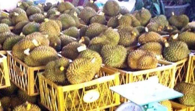 Phát hiện 2 tấn sầu riêng bị nhúng phân bón lá Sầu riêng đã bị nhúng hóa chất.