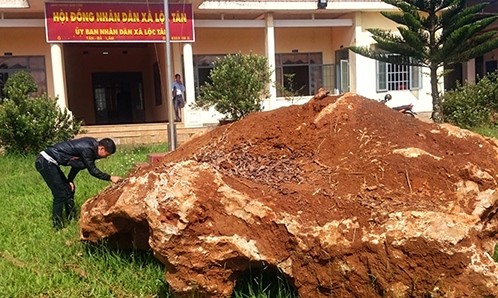 Tảng đá lạ 20 tấn bị tạm giữ ở Lâm Đồng Tảng đá lạ đang được giữ tại trụ sở UBND xã Lộc Tân. Ảnh: Khánh Hương.
