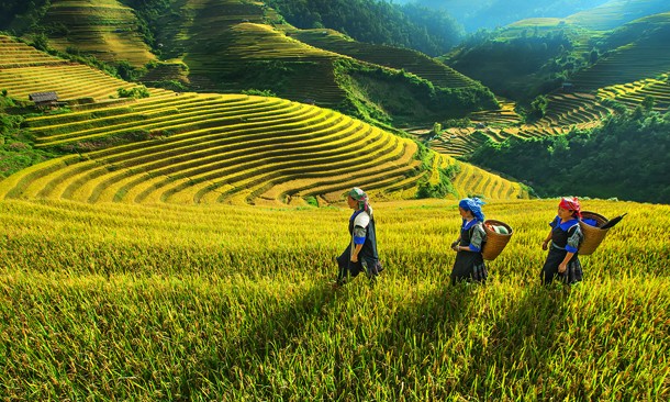 Tây Bắc vẫn là địa bàn nghèo trọng điểm của cả nước Ảnh minh họa.