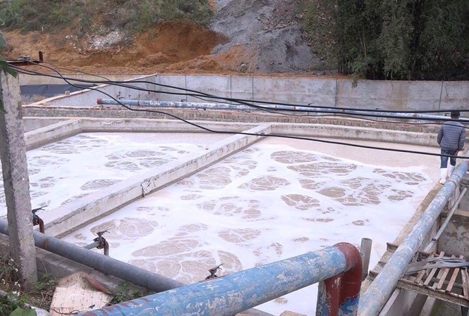 Suối đổi màu, cá chết hàng loạt vì doanh nghiệp xả thải Bể xả của Cty Nguyên Hồng, gây ô nhiễm nghiêm trọng. Ảnh: DC