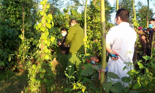 Đi săn chim, kinh hãi phát hiện thai phụ chết treo cổ ở vườn tiêu Cơ quan chức năng điều tra vụ việc