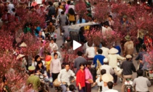Hình ảnh khó quên ở chợ hoa Tết thời bao cấp Hình ảnh khó quên ở chợ hoa Tết thời bao cấp.