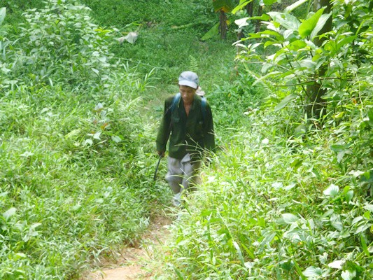 “Người rừng” giỏi kiếm tiền muốn lấy vợ “Người rừng” Hồ Văn Lang hòa nhập nhanh với cuộc sống cộng đồng